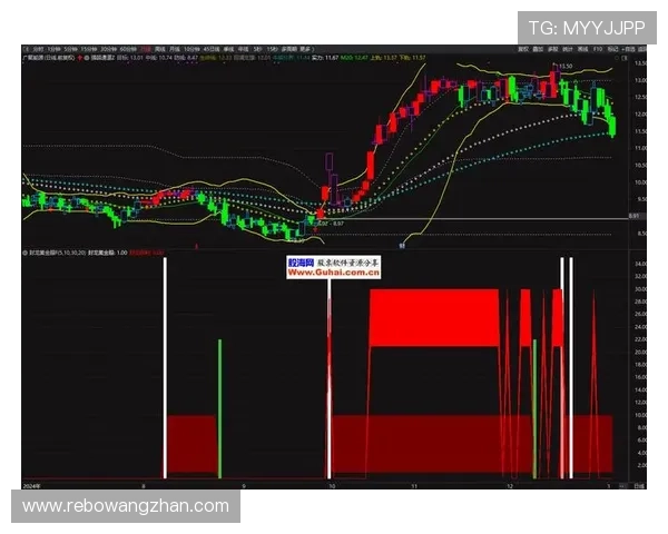 伟德软件提升投注效率的实用技巧与操作建议