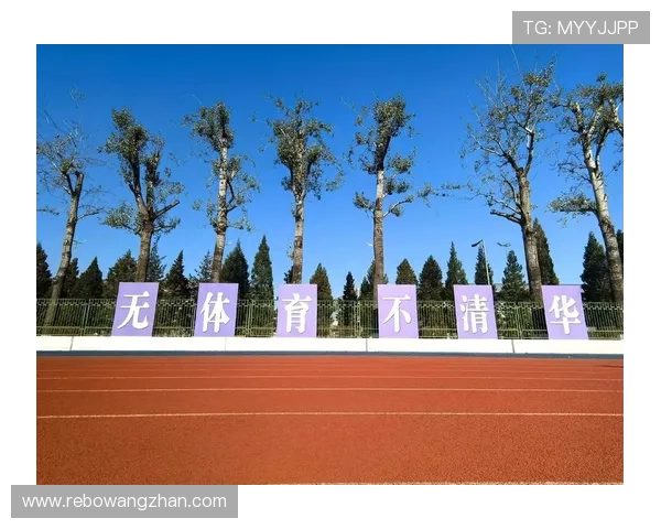 华体会官网体育：探索多样化体育项目与丰富的赛事内容推荐