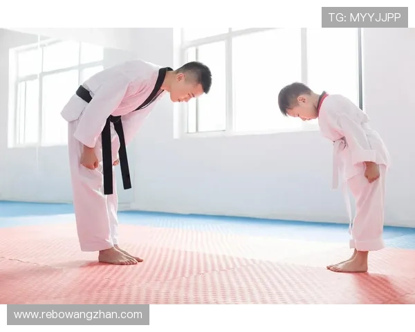 半岛体育在线观看赛事直播全集，丰富多样的体育项目一站式观看体验