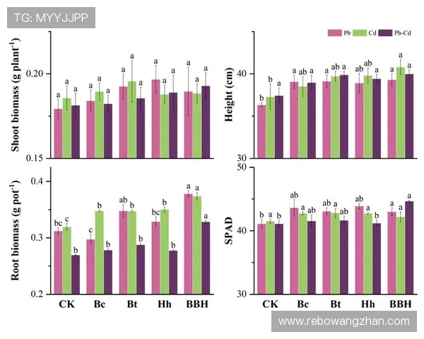 K8体育平台的反作弊系统与安全监控机制保障公平竞技环境