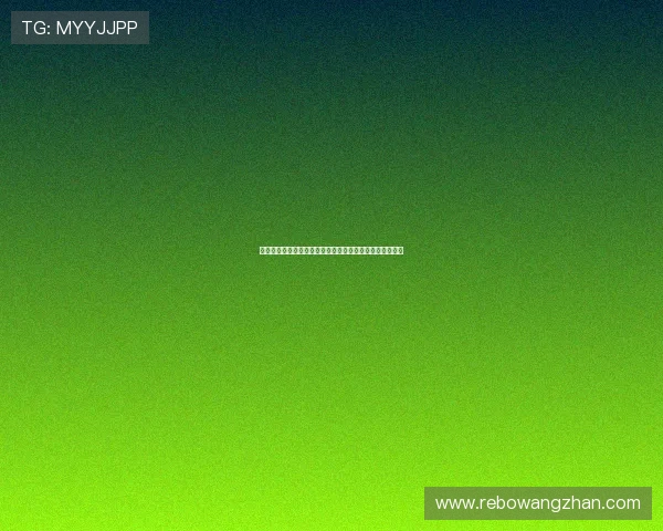 新宝彩票官方平台安全保障措施全面解析保障用户资金安全